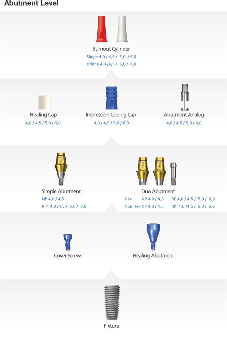 01_Abutment Level.gif